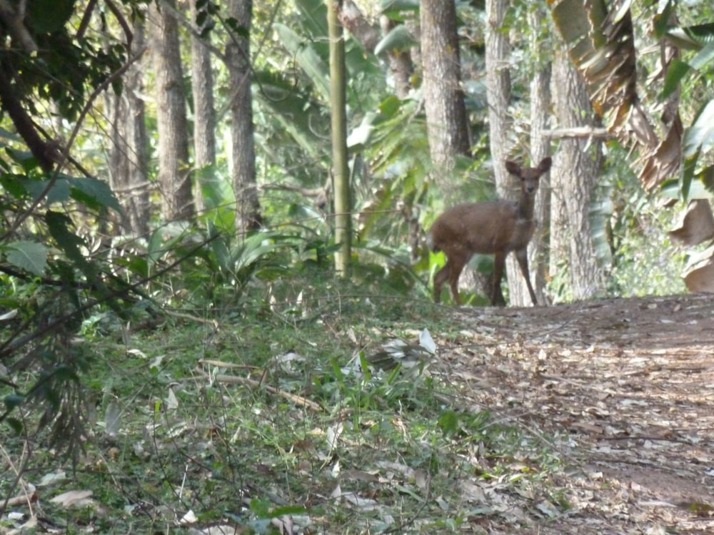 Residential vacant land for sale in Waterfall, Upper Highway - 1KF1707110