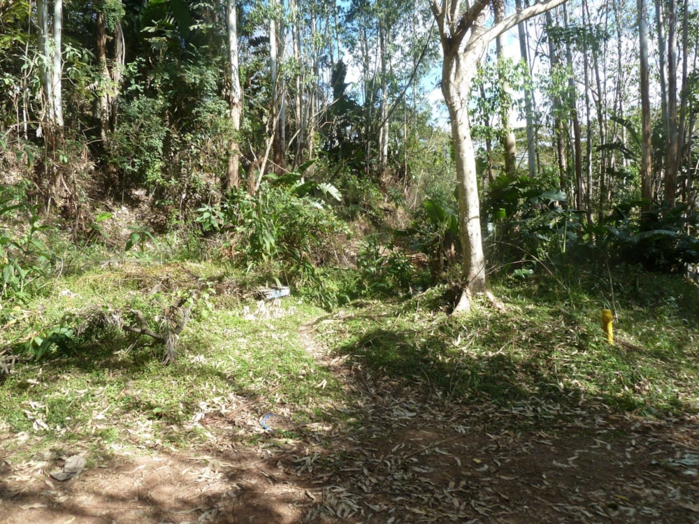 Residential vacant land for sale in Waterfall, Upper Highway - 1KF1707110