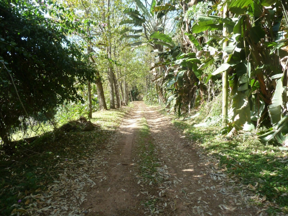 Residential vacant land for sale in Waterfall, Upper Highway - 1KF1707110