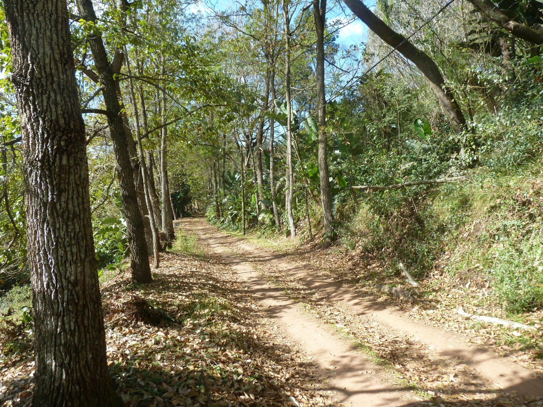 Residential vacant land for sale in Waterfall, Upper Highway - 1KF1707110