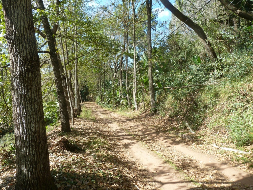 Residential vacant land for sale in Waterfall, Upper Highway - 1KF1707110