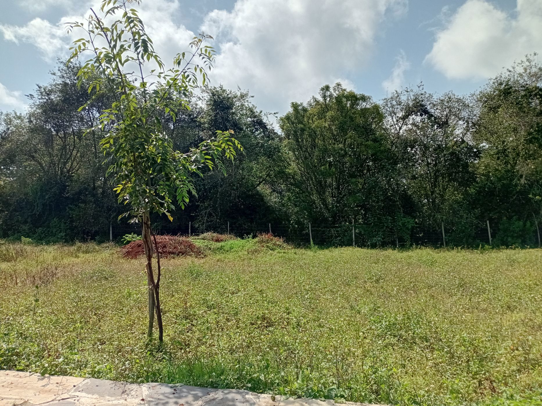 Vacant land for sale in Tigoni, Kenya - 3KE1707342