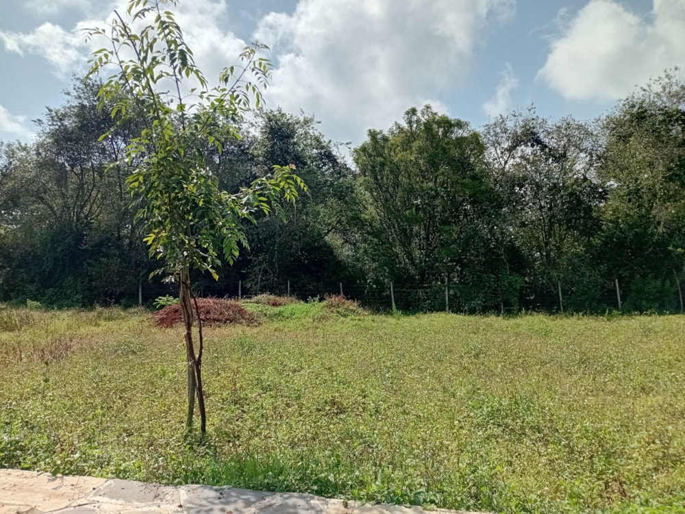 Vacant land for sale in Tigoni, Kenya - 3KE1707348