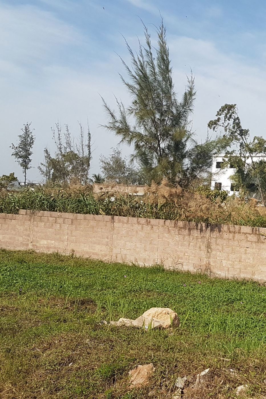 Vacant land for investment in Costa do Sol , Mozambique - 3MQ1707465