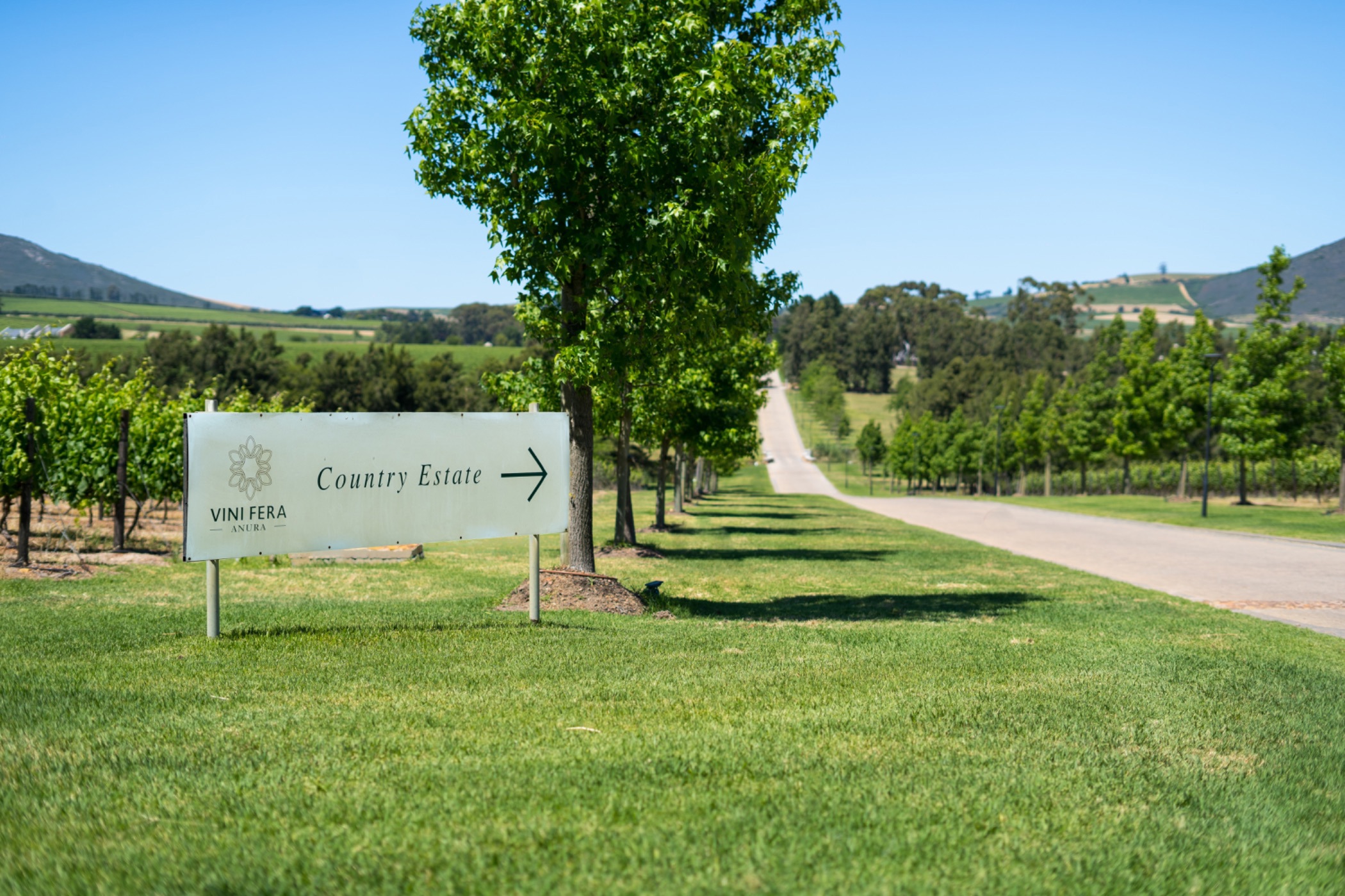 Residential vacant land for sale in Vini Fera at Anura - ST1707755