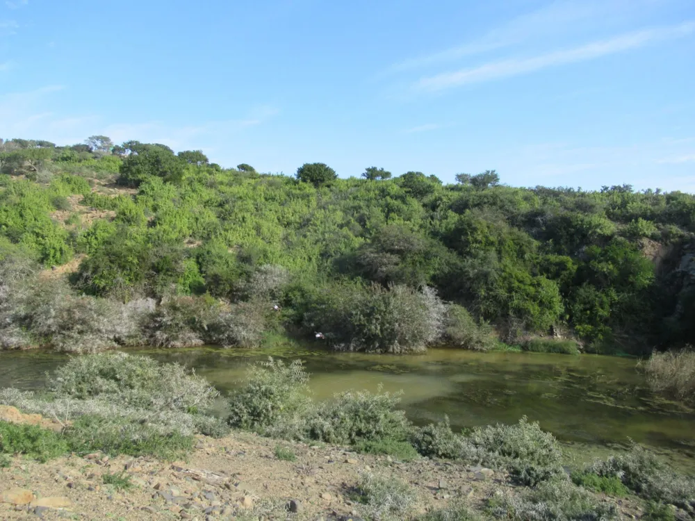 Game farm for sale in Grahamstown (Makhanda) - 1GC1707973 Game farm for sale in Grahamstown (Makhanda) - 1GC1707973