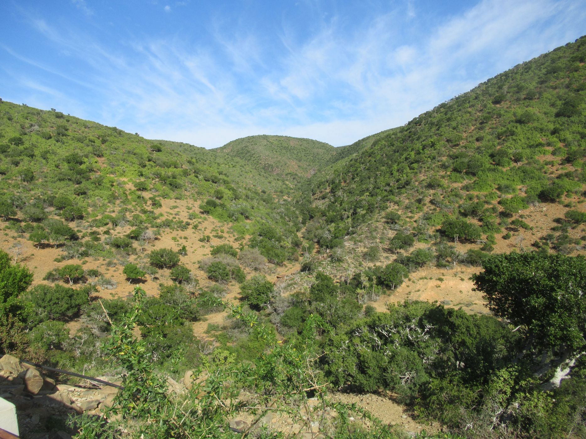 Game farm for sale in Grahamstown (Makhanda) - 1GC1707973