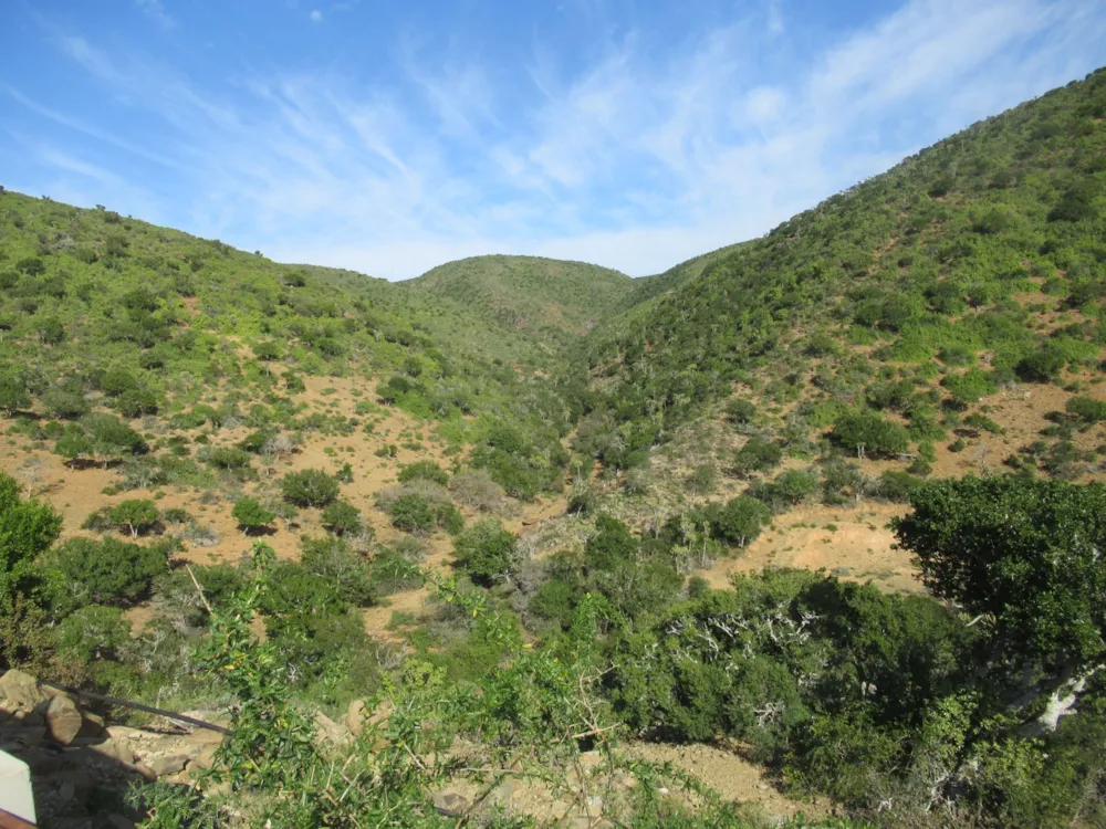 Game farm for sale in Grahamstown (Makhanda) - 1GC1707973 Game farm for sale in Grahamstown (Makhanda) - 1GC1707973