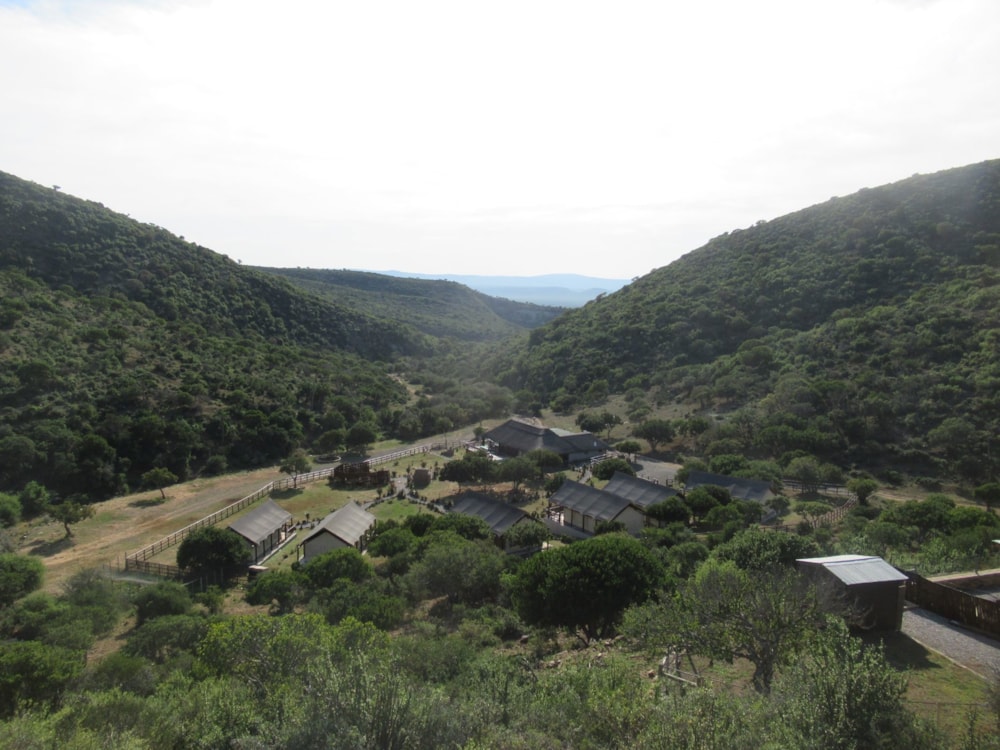 Game farm for sale in Grahamstown (Makhanda) - 1GC1707973