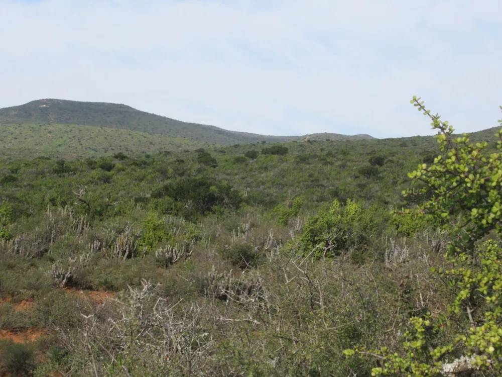 Game farm for sale in Grahamstown (Makhanda) - 1GC1707973 Game farm for sale in Grahamstown (Makhanda) - 1GC1707973