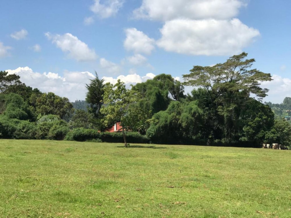 Vacant land for sale in Tigoni, Kenya - 3KE1707910