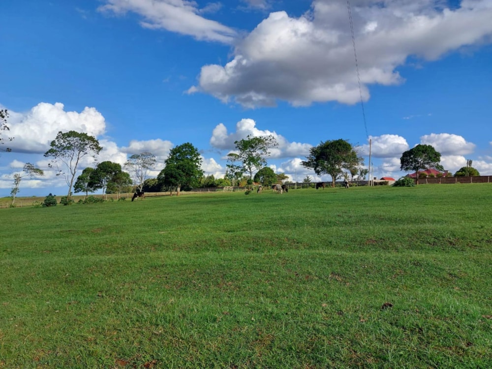 Vacant land for sale in Tigoni, Kenya - 3KE1707910