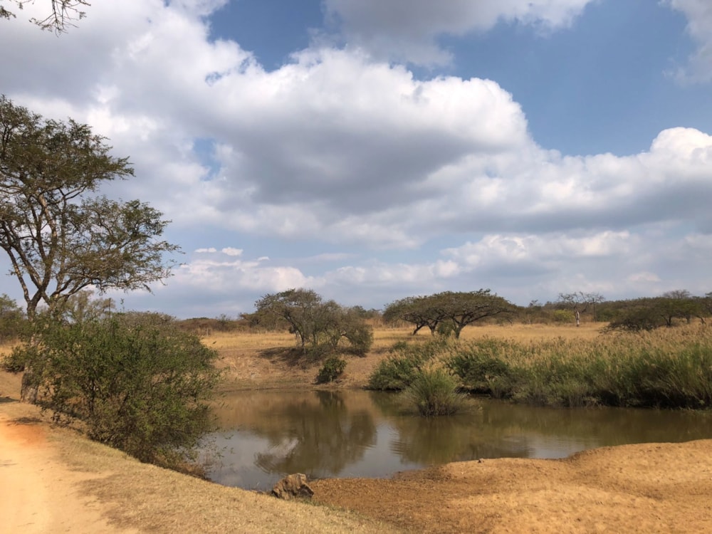 Residential vacant land for sale in Mbombela Rural (Nelspruit Rural) - 1NS1708386 Residential vacant land for sale in Mbombela Rural (Nelspruit Rural) - 1NS1708386