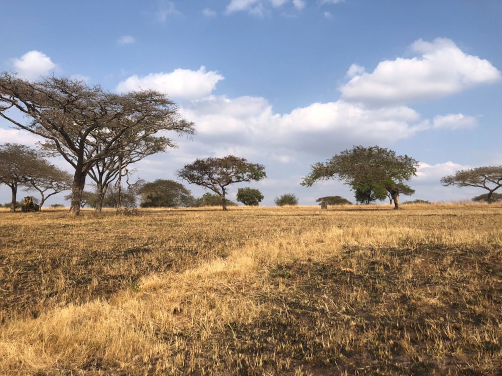 Residential vacant land for sale in Mbombela Rural (Nelspruit Rural) - 1NS1708386 Residential vacant land for sale in Mbombela Rural (Nelspruit Rural) - 1NS1708386