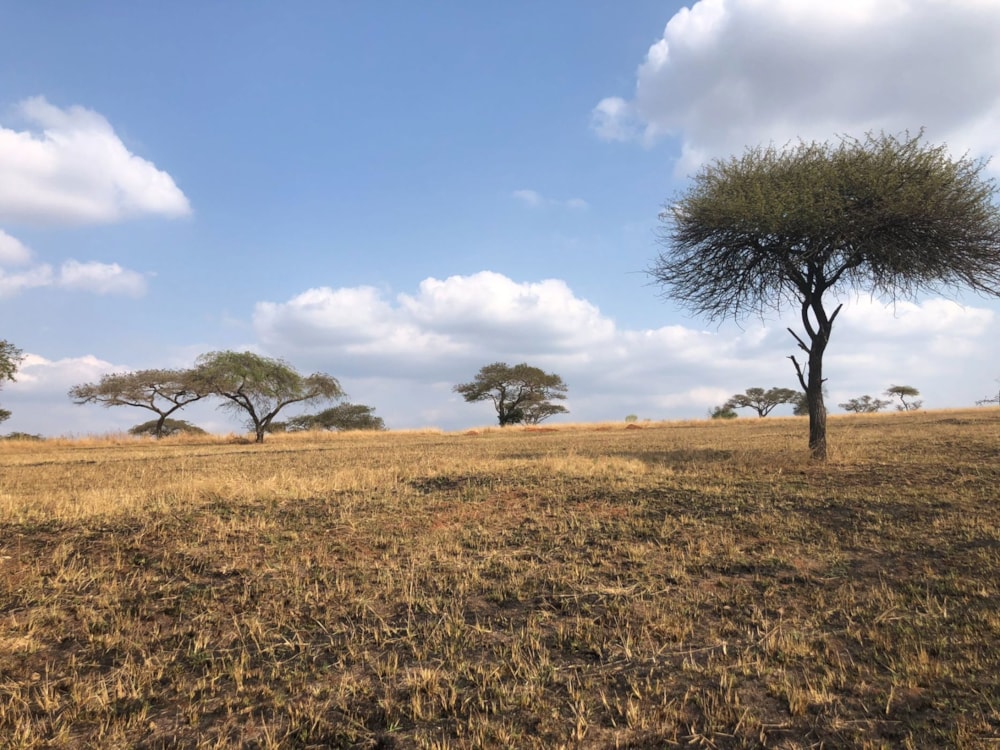 Residential vacant land for sale in Barberton Rural - 1NS1750038 Residential vacant land for sale in Barberton Rural - 1NS1750038
