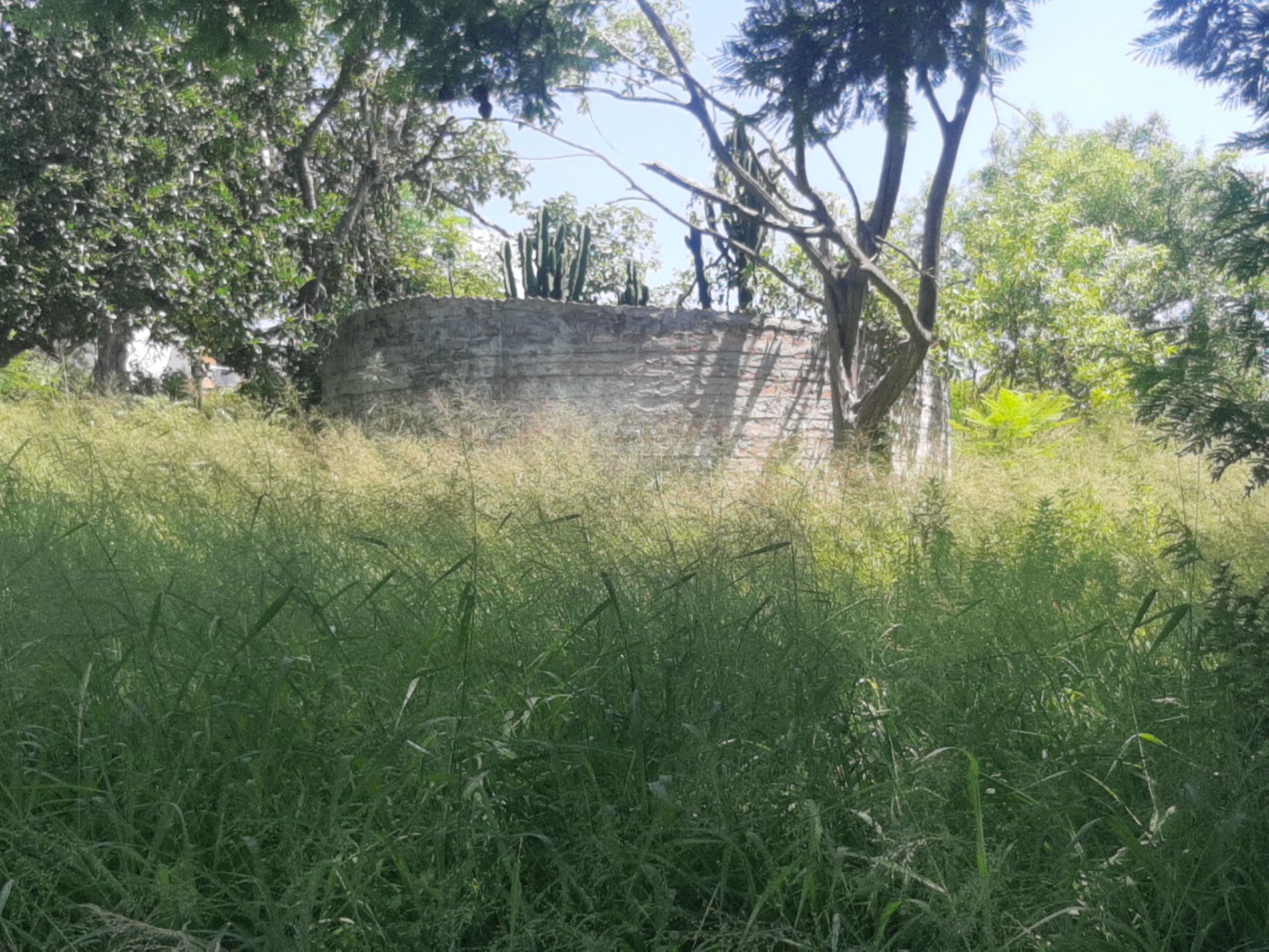 Residential vacant land for sale in Drum Rock - 1NS1708303