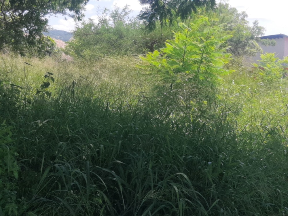 Residential vacant land for sale in Drum Rock - 1NS1708303 Residential vacant land for sale in Drum Rock - 1NS1708303