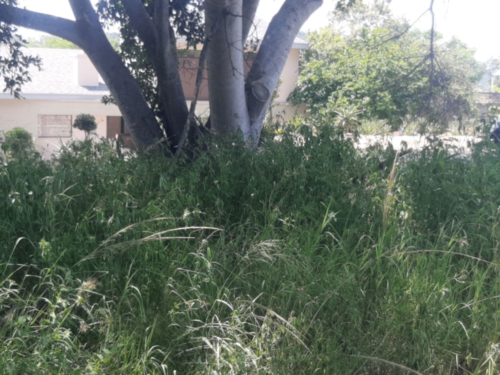 Residential vacant land for sale in Drum Rock - 1NS1708303 Residential vacant land for sale in Drum Rock - 1NS1708303