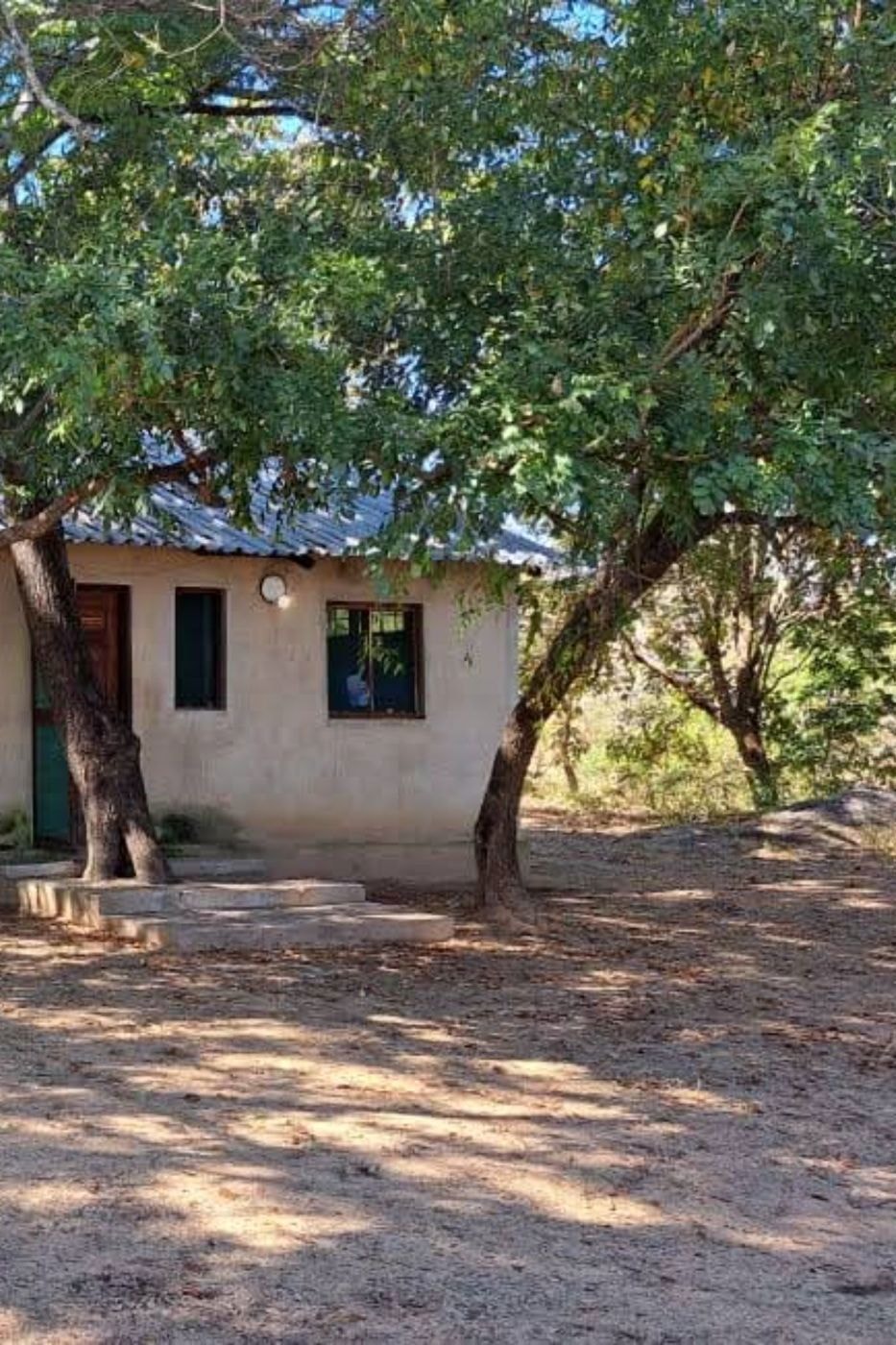 Crop farm for sale in Manica, Mozambique - 3MQ1708407 Crop farm for sale in Manica, Mozambique - 3MQ1708407