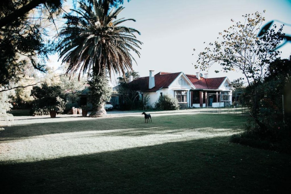 House for sale in Queenstown - 1MH1708490