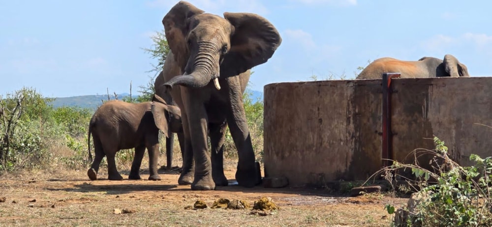 House for sale in Grietjie - 1HS1708827 House for sale in Grietjie - 1HS1708827