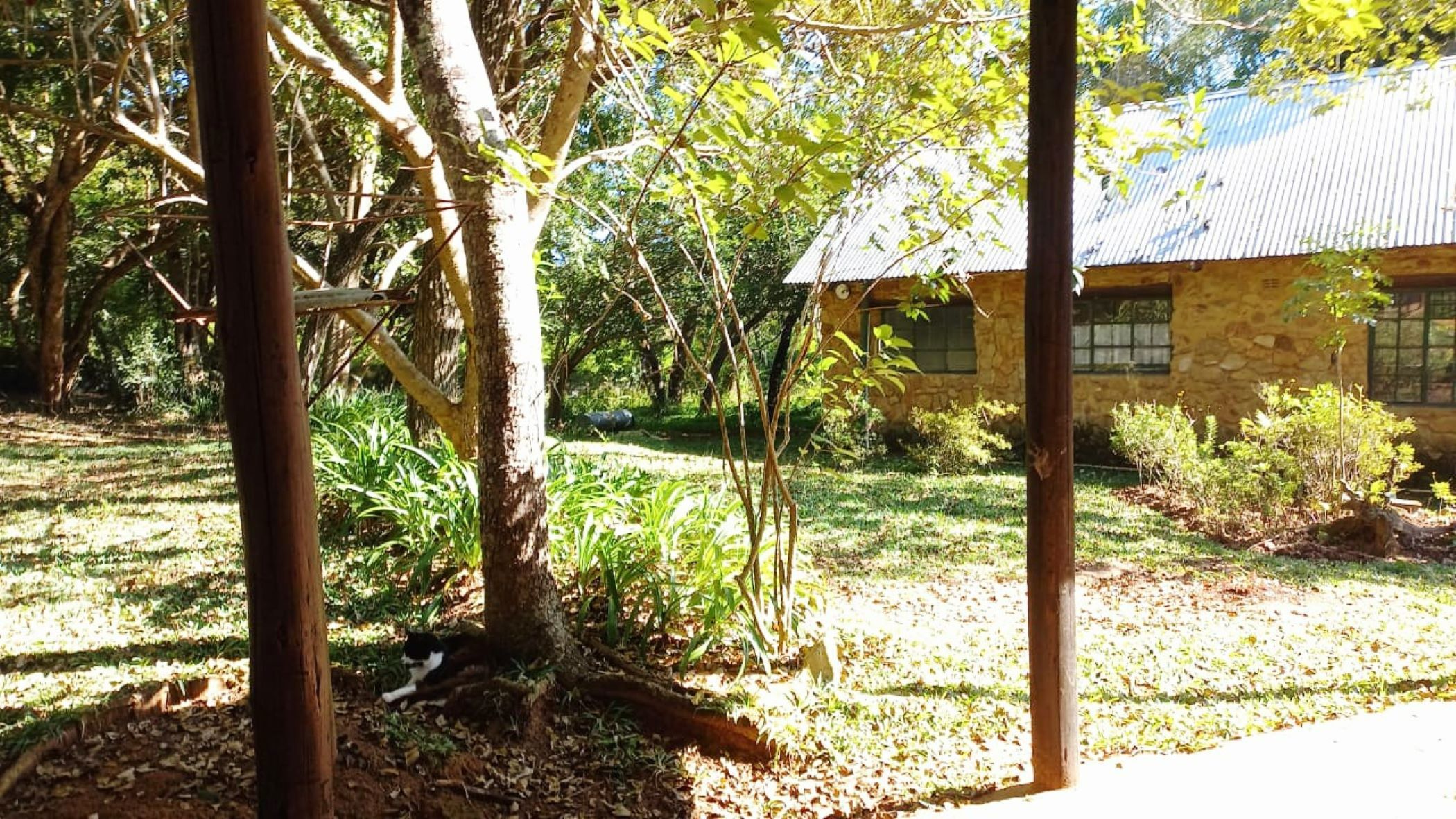 Smallholding for sale in Tzaneen, Limpopo Province - 1TA1708816