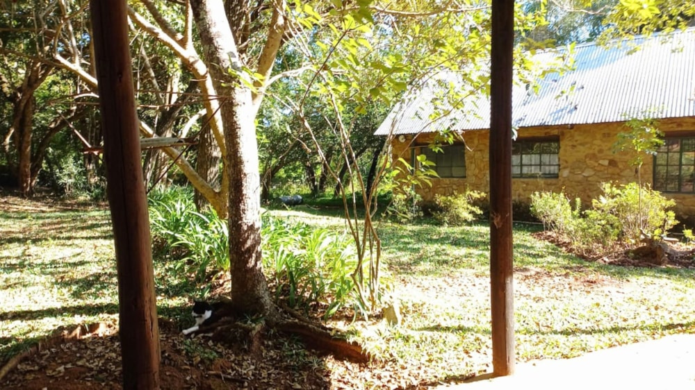 Smallholding for sale in Tzaneen, Limpopo Province - 1TA1708816