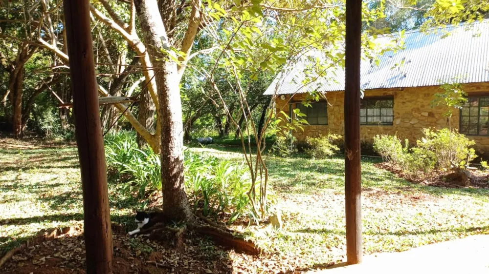 Smallholding for sale in Tzaneen, Limpopo Province - 1TA1708816 Smallholding for sale in Tzaneen, Limpopo Province - 1TA1708816