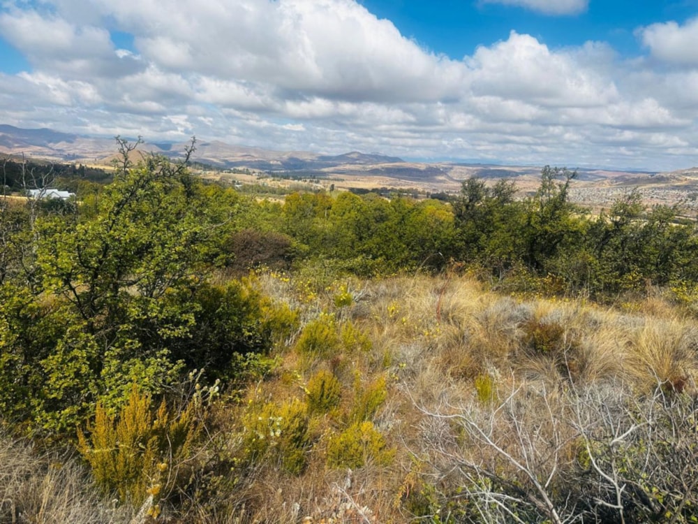 Vacant land for sale in Clarens - 1CS1708989 Vacant land for sale in Clarens - 1CS1708989