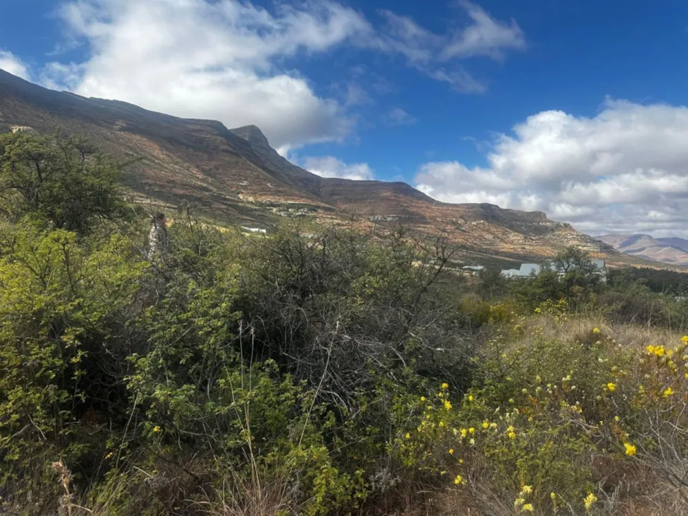 Vacant land for sale in Clarens - 1CS1708989