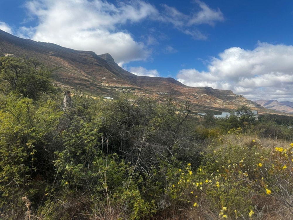 Vacant land for sale in Clarens - 1CS1708989 Vacant land for sale in Clarens - 1CS1708989