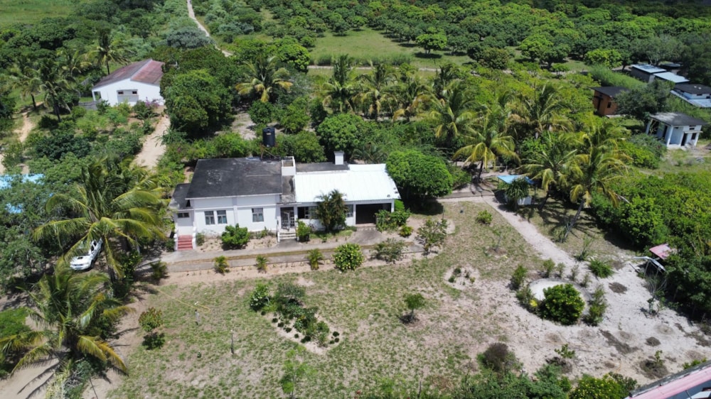 Maize farm for sale in Marracuene, Mozambique - 3MQ1709035