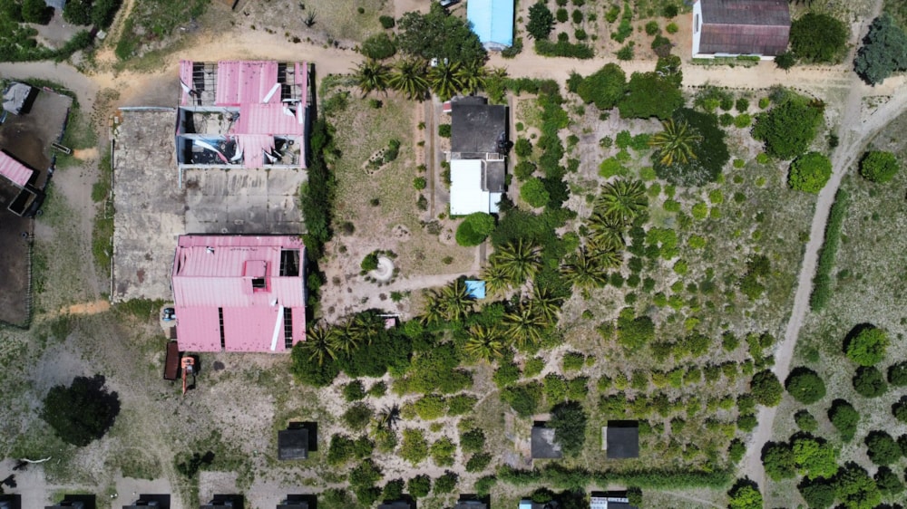 Maize farm for sale in Marracuene, Mozambique - 3MQ1709035