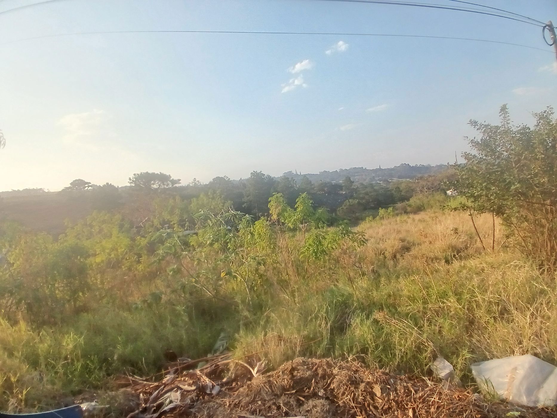 Vacant land for sale in Margate - 1PSH1709085