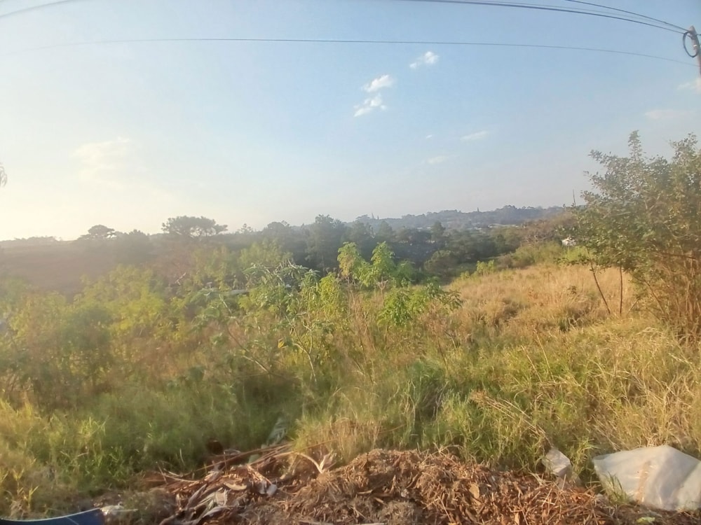 Vacant land for sale in Margate - 1PSH1709085