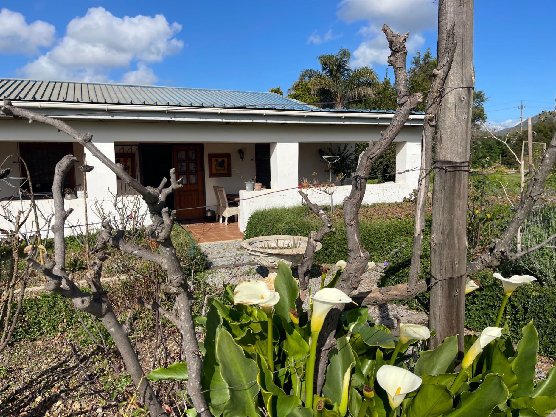 Lifestyle property for sale in Riebeek Kasteel - RV1709900