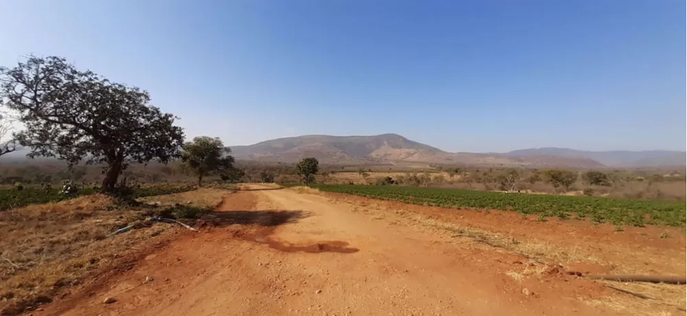 Farm vacant land for sale in Tzaneen, Limpopo Province - 1TA1709219 Farm vacant land for sale in Tzaneen, Limpopo Province - 1TA1709219