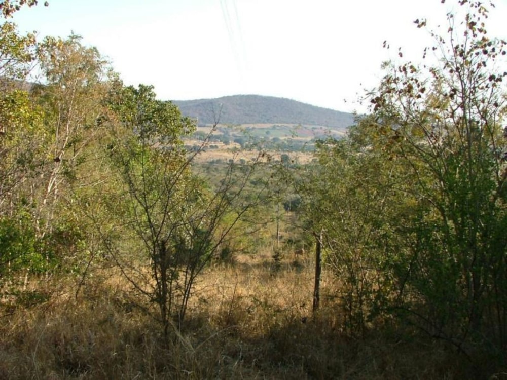 Farm vacant land for sale in Tzaneen, Limpopo Province - 1TA1709219 Farm vacant land for sale in Tzaneen, Limpopo Province - 1TA1709219