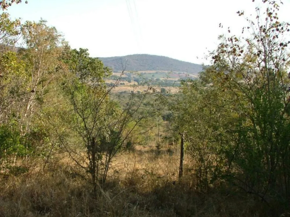 Farm vacant land for sale in Tzaneen, Limpopo Province - 1TA1709219 Farm vacant land for sale in Tzaneen, Limpopo Province - 1TA1709219