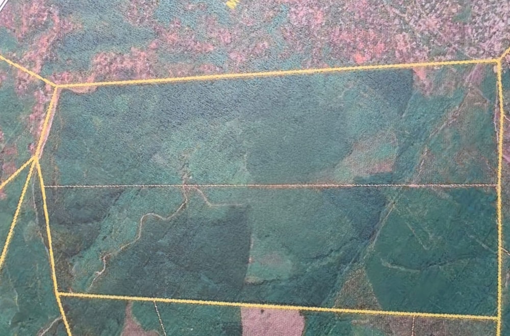 Farm vacant land for sale in Tzaneen, Limpopo Province - 1TA1709219 Farm vacant land for sale in Tzaneen, Limpopo Province - 1TA1709219