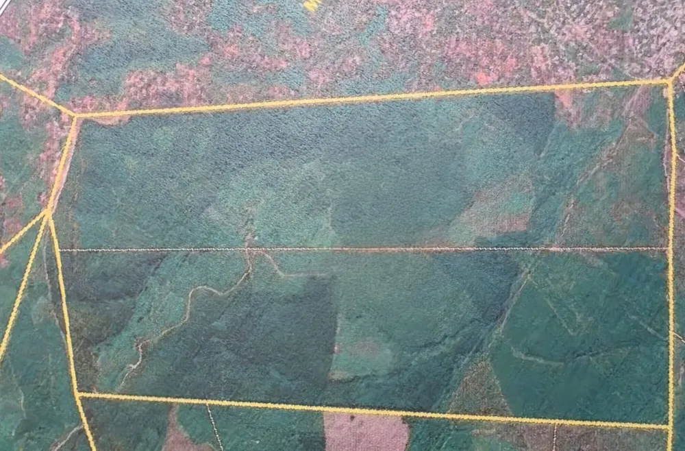 Farm vacant land for sale in Tzaneen, Limpopo Province - 1TA1709219 Farm vacant land for sale in Tzaneen, Limpopo Province - 1TA1709219