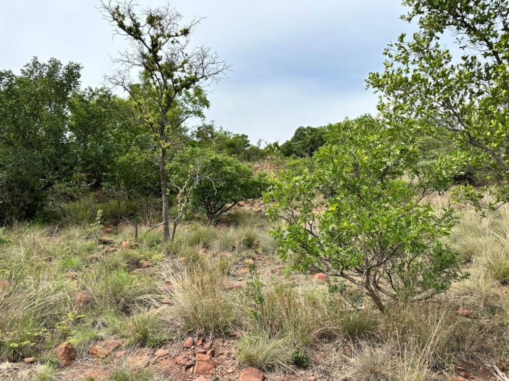 Vacant land for sale in Bela Bela Rural - 1MDM1709272