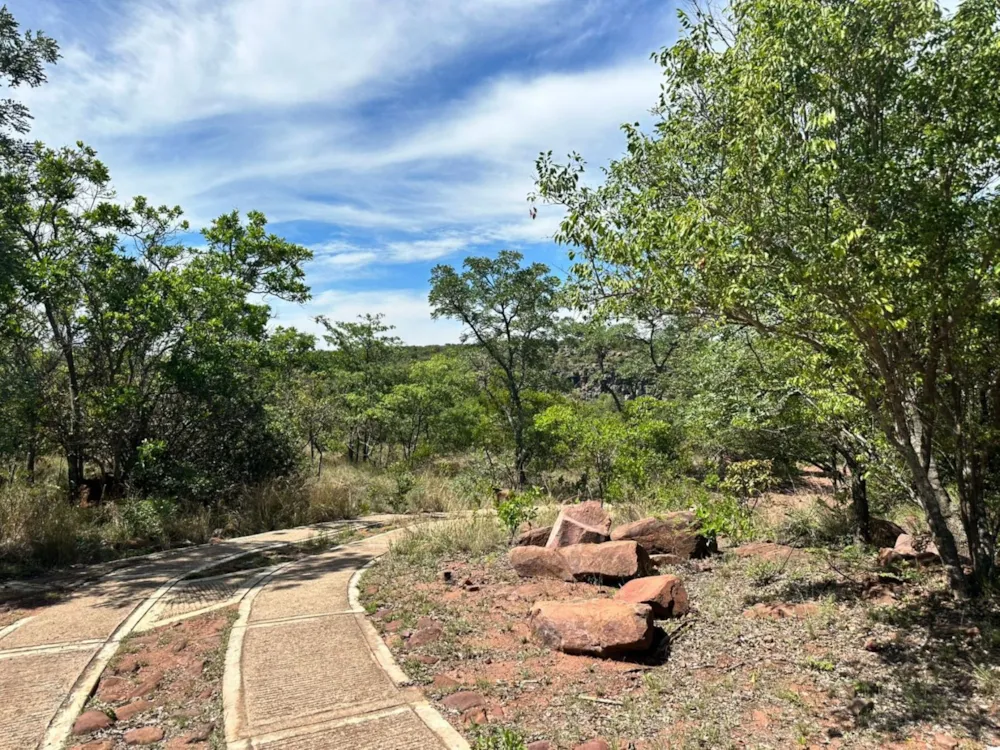 Vacant land for sale in Bela Bela Rural - 1MDM1709272