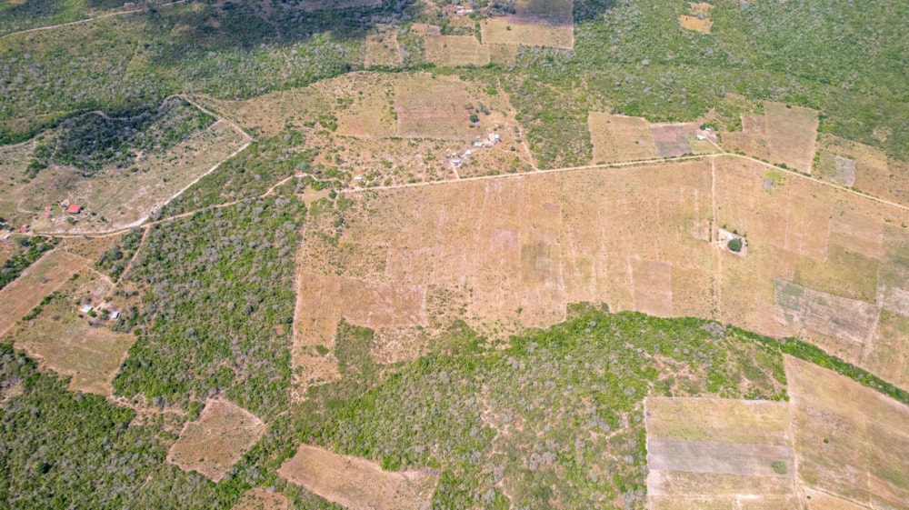 Farm vacant land for sale in Malindi, Kenya - 3KE1709286