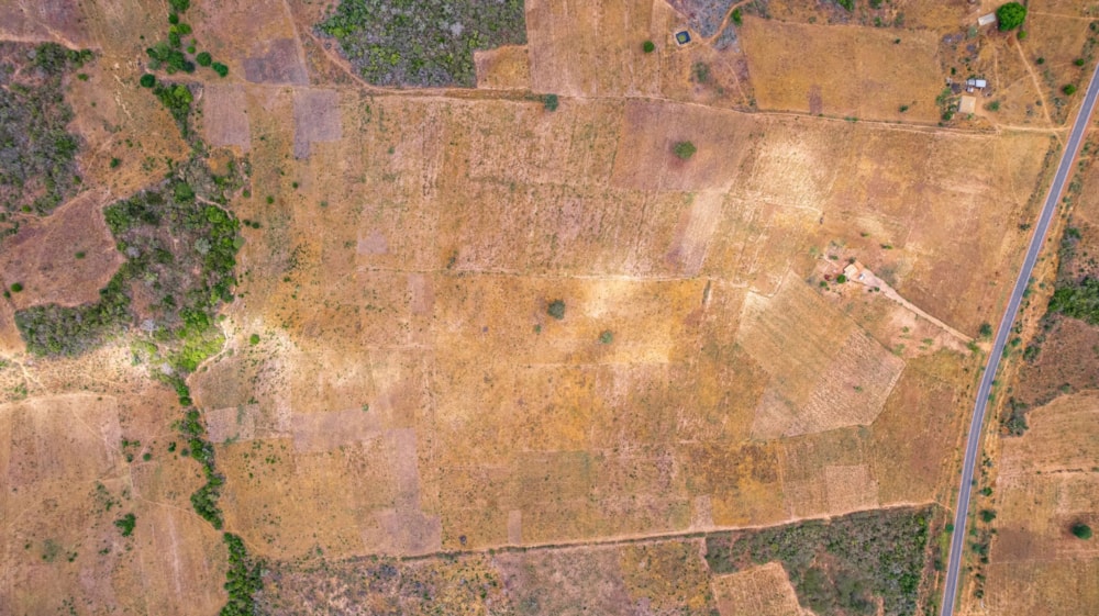 Farm vacant land for sale in Malindi, Kenya - 3KE1709298 Farm vacant land for sale in Malindi, Kenya - 3KE1709298