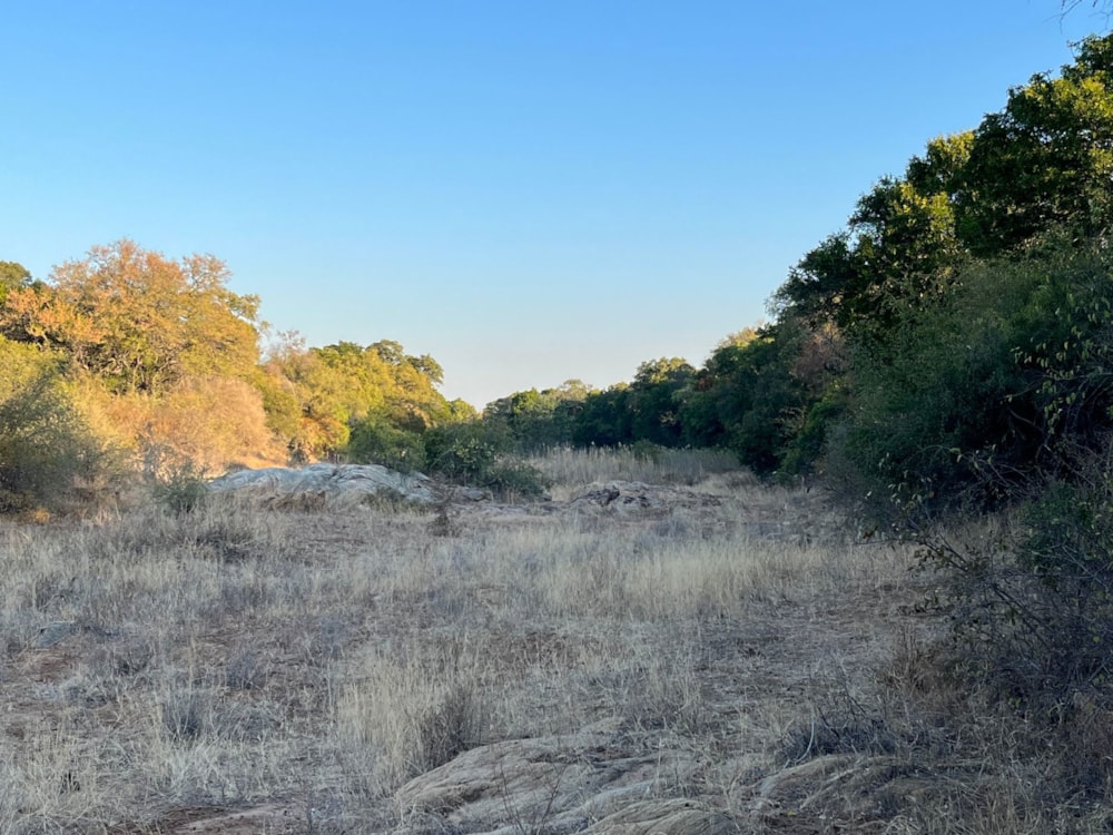 Vacant land for sale in Raptors View Wildlife Estate - 1HS1706296 Vacant land for sale in Raptors View Wildlife Estate - 1HS1706296