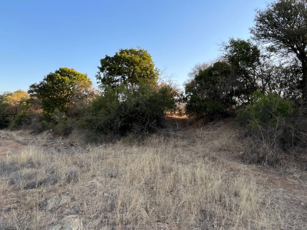 Vacant land for sale in Raptors View Wildlife Estate - 1HS1706296 Vacant land for sale in Raptors View Wildlife Estate - 1HS1706296