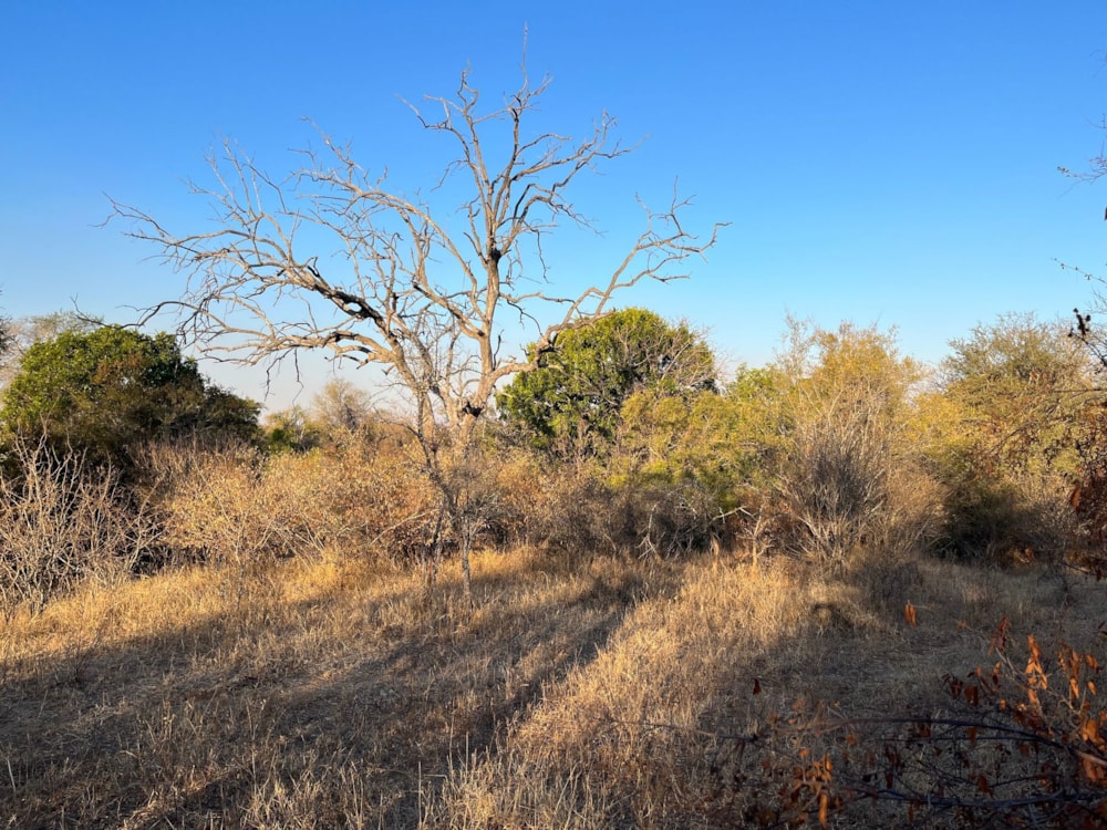 Vacant land for sale in Raptors View Wildlife Estate - 1HS1706296 Vacant land for sale in Raptors View Wildlife Estate - 1HS1706296