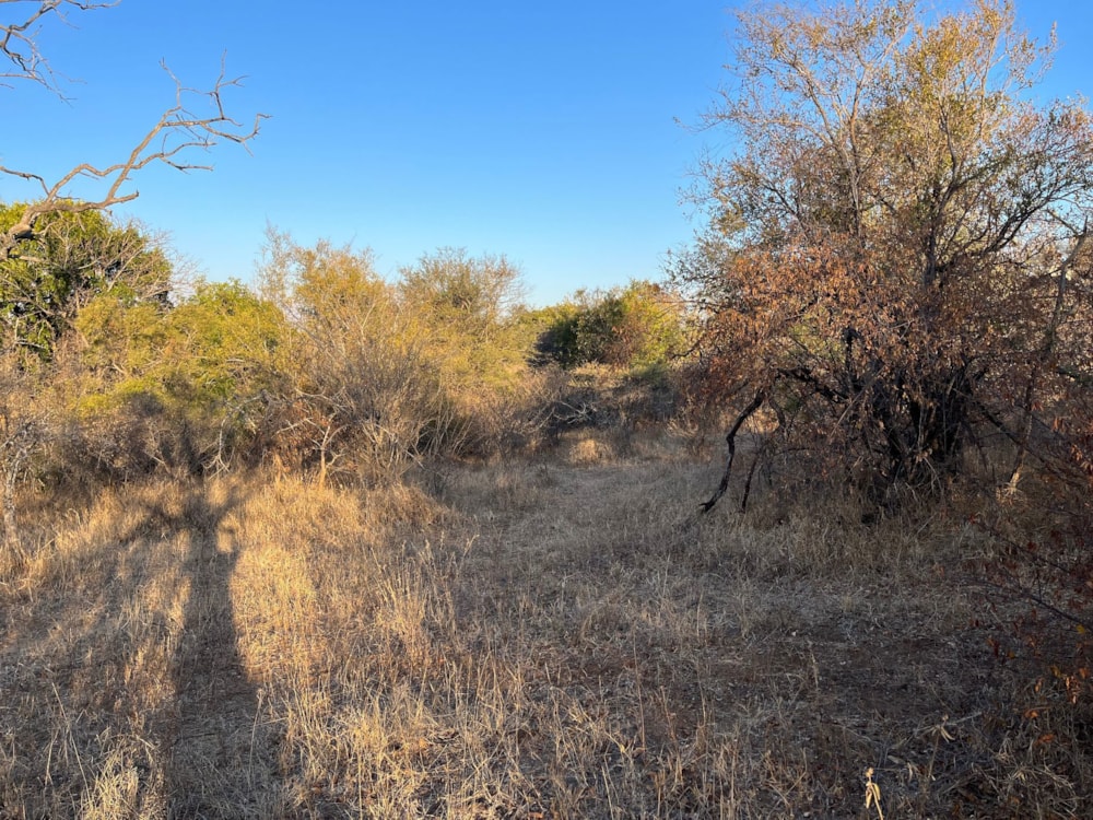 Vacant land for sale in Raptors View Wildlife Estate - 1HS1706296 Vacant land for sale in Raptors View Wildlife Estate - 1HS1706296