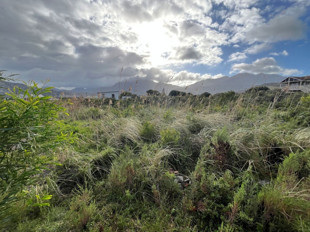 Vacant land for sale in Pringle Bay - KN1707886 Vacant land for sale in Pringle Bay - KN1707886